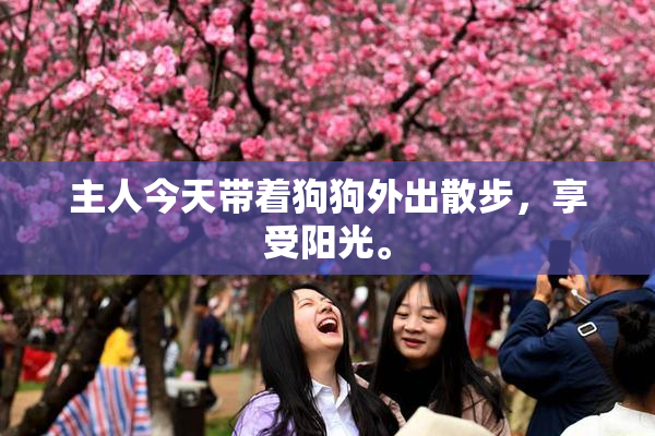 主人今天带着狗狗外出散步，享受阳光。