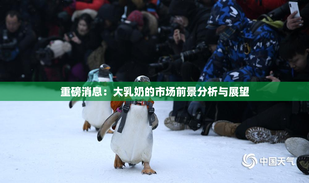重磅消息：大乳奶的市场前景分析与展望