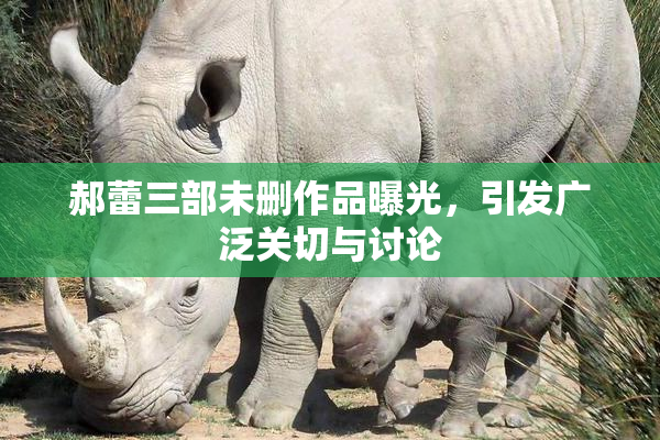 郝蕾三部未删作品曝光，引发广泛关切与讨论