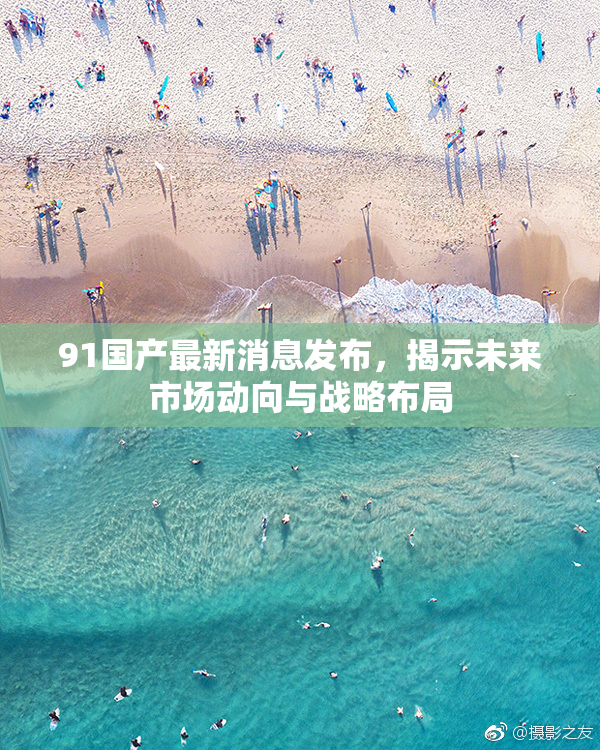 91国产最新消息发布，揭示未来市场动向与战略布局