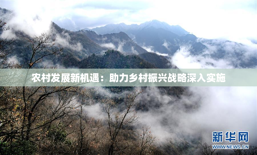 农村发展新机遇：助力乡村振兴战略深入实施