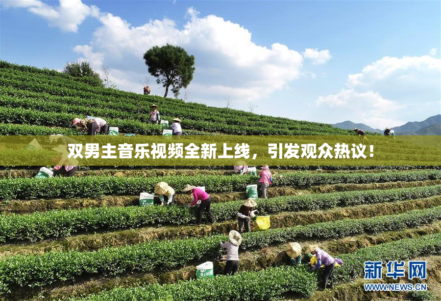 双男主音乐视频全新上线，引发观众热议！