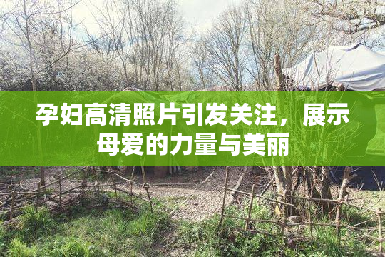 孕妇高清照片引发关注，展示母爱的力量与美丽
