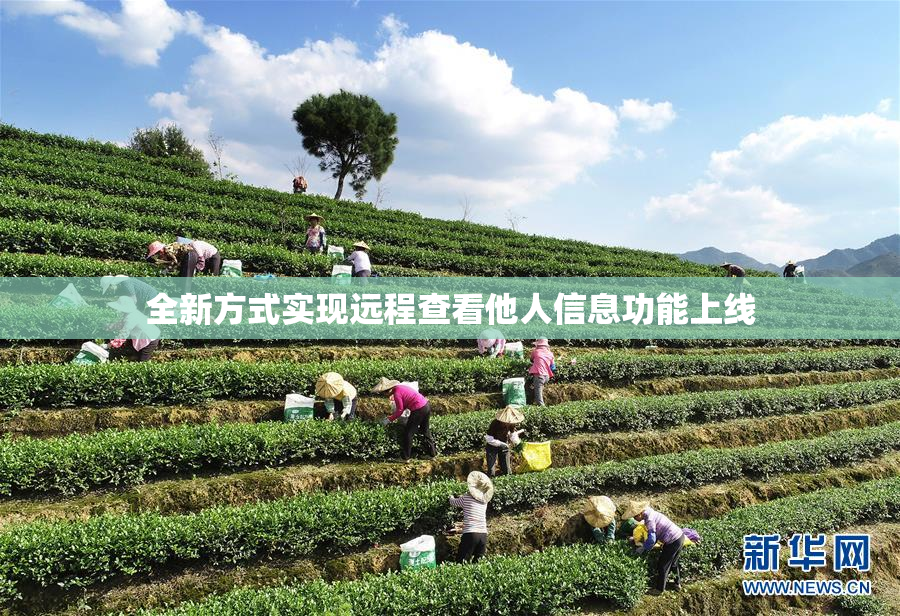 全新方式实现远程查看他人信息功能上线