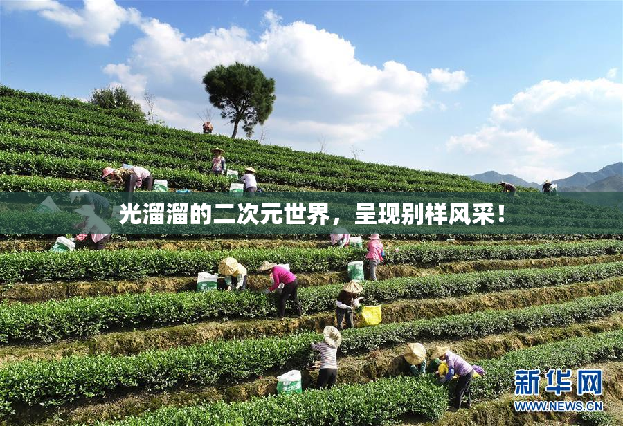 光溜溜的二次元世界，呈现别样风采！