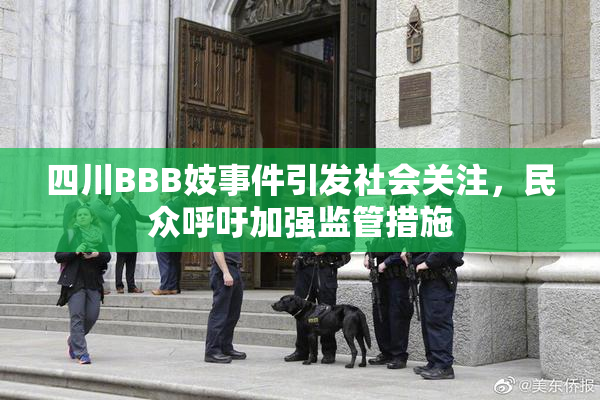四川BBB妓事件引发社会关注，民众呼吁加强监管措施
