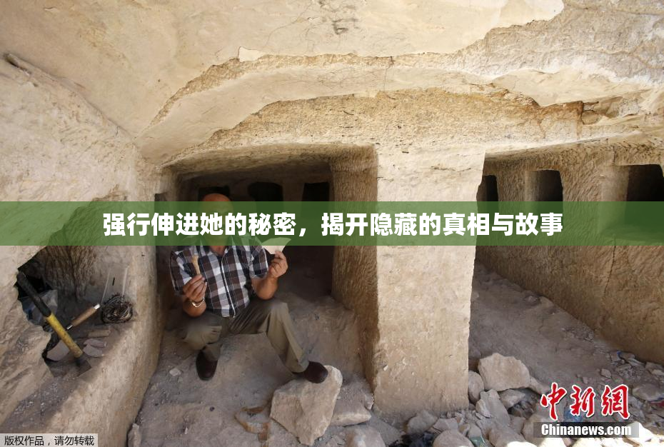 强行伸进她的秘密，揭开隐藏的真相与故事