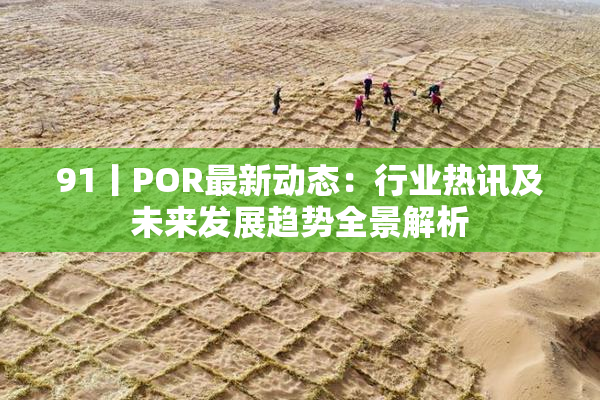 91丨POR最新动态：行业热讯及未来发展趋势全景解析