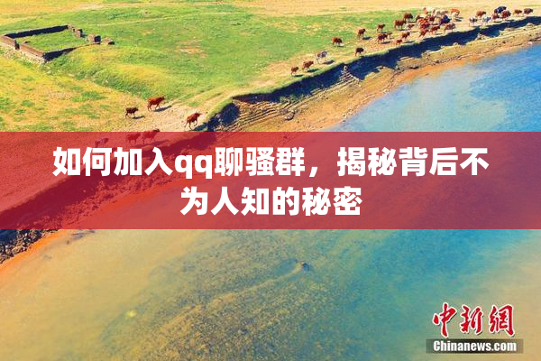 如何加入qq聊骚群，揭秘背后不为人知的秘密