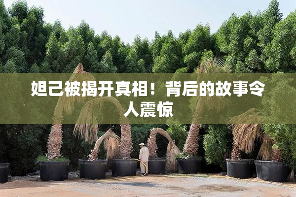 妲己被揭开真相！背后的故事令人震惊