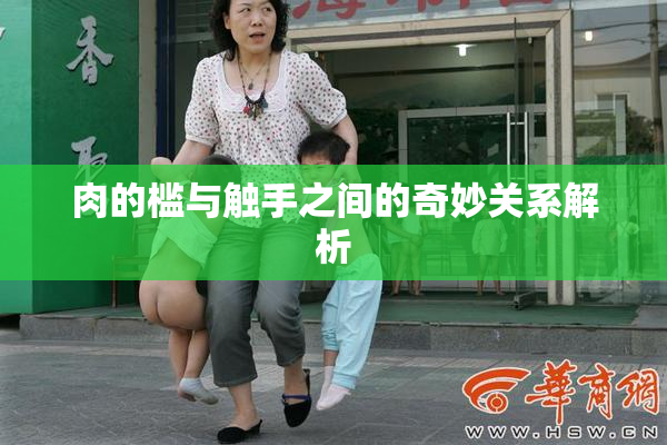 肉的槛与触手之间的奇妙关系解析