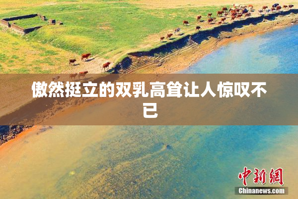 傲然挺立的双乳高耸让人惊叹不已