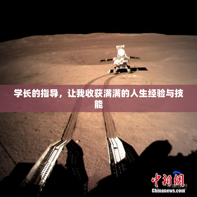 学长的指导，让我收获满满的人生经验与技能