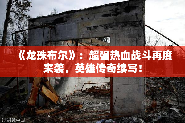 《龙珠布尔》：超强热血战斗再度来袭，英雄传奇续写！