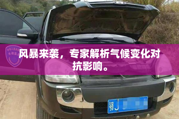 风暴来袭，专家解析气候变化对抗影响。