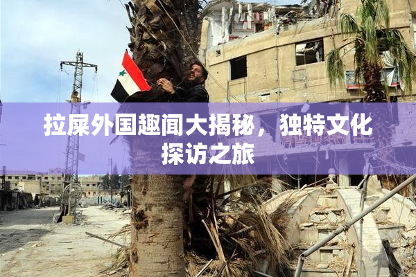 拉屎外国趣闻大揭秘，独特文化探访之旅