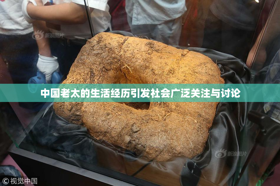中国老太的生活经历引发社会广泛关注与讨论