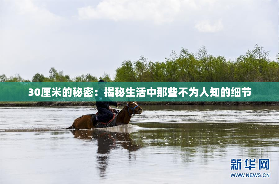 30厘米的秘密：揭秘生活中那些不为人知的细节