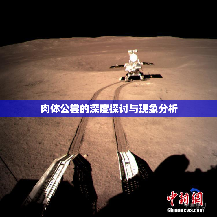 肉体公尝的深度探讨与现象分析