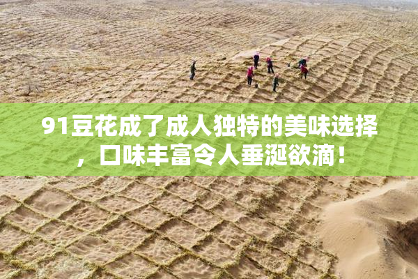 91豆花成了成人独特的美味选择，口味丰富令人垂涎欲滴！