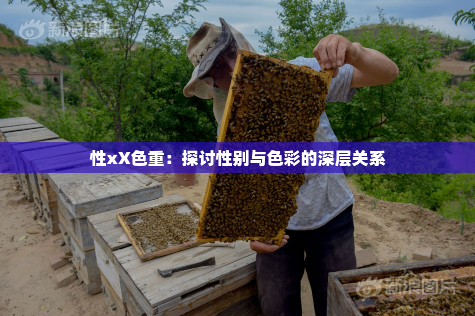 性xX色重：探讨性别与色彩的深层关系
