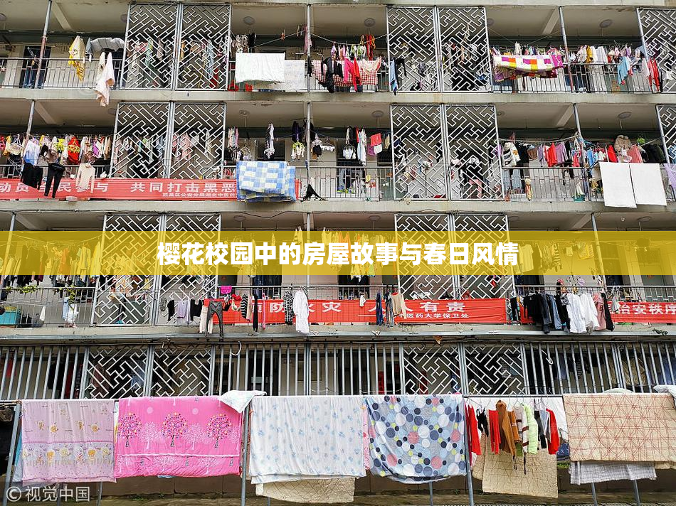 樱花校园中的房屋故事与春日风情