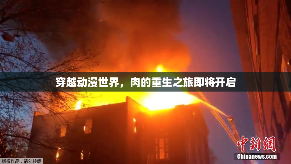穿越动漫世界，肉的重生之旅即将开启
