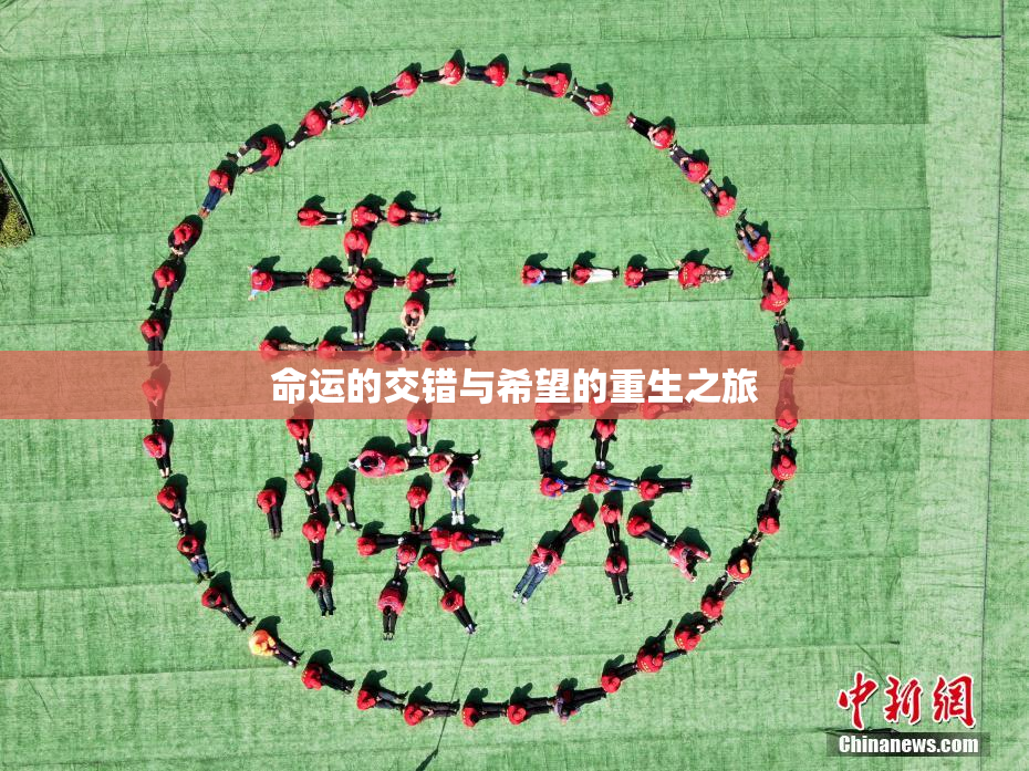 命运的交错与希望的重生之旅