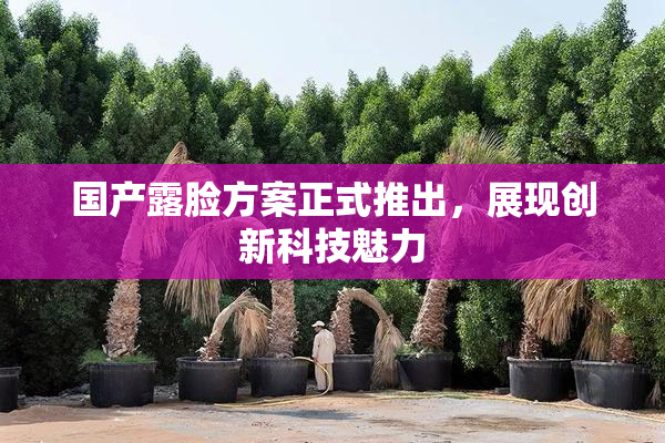 国产露脸方案正式推出，展现创新科技魅力
