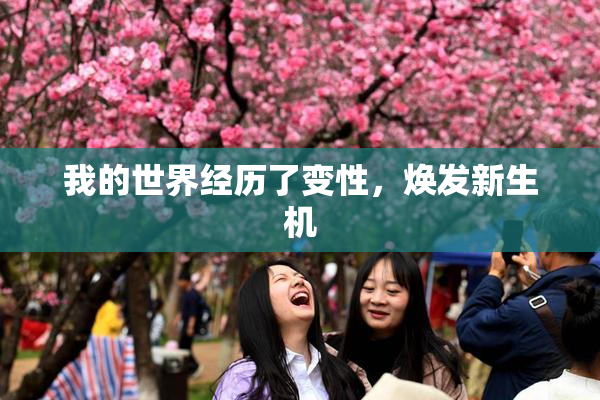 我的世界经历了变性，焕发新生机