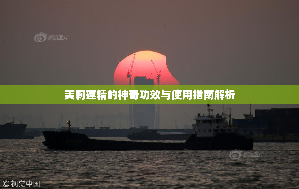 芙莉莲精的神奇功效与使用指南解析