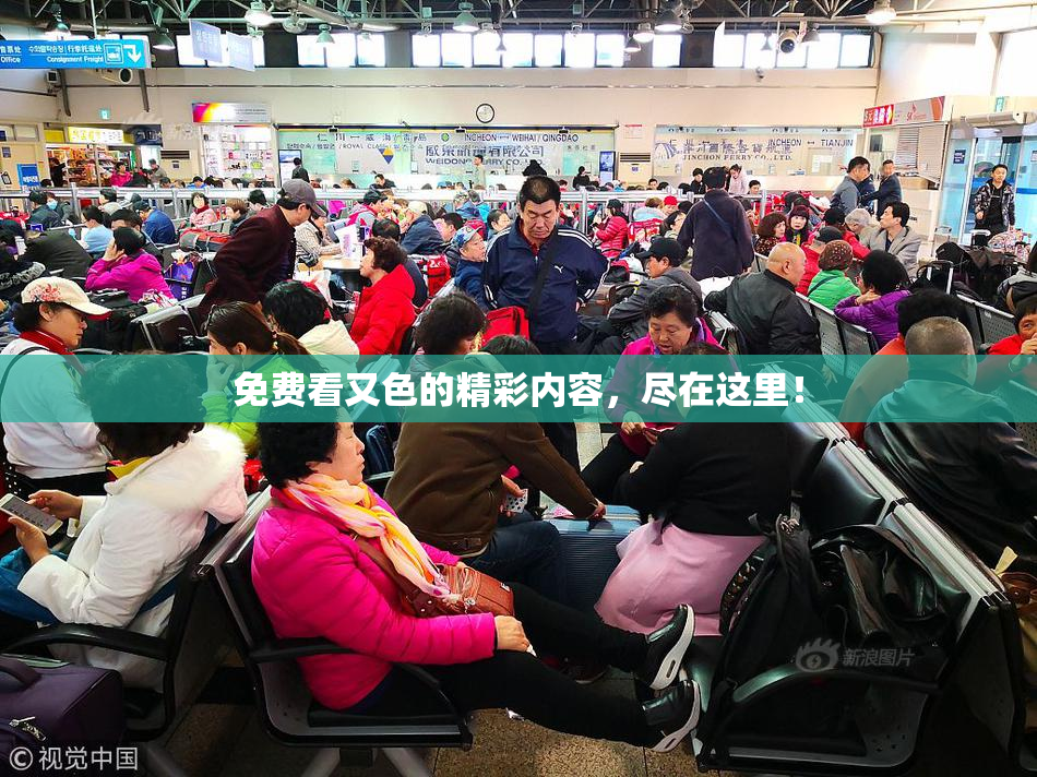 免费看又色的精彩内容，尽在这里！