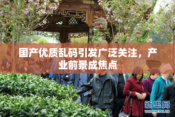 国产优质乱码引发广泛关注，产业前景成焦点
