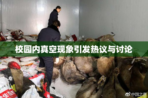 校园内真空现象引发热议与讨论