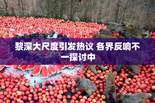 黎深大尺度引发热议 各界反响不一探讨中