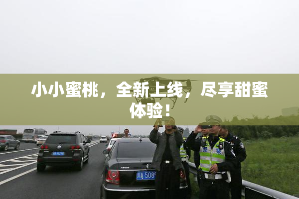 小小蜜桃，全新上线，尽享甜蜜体验！