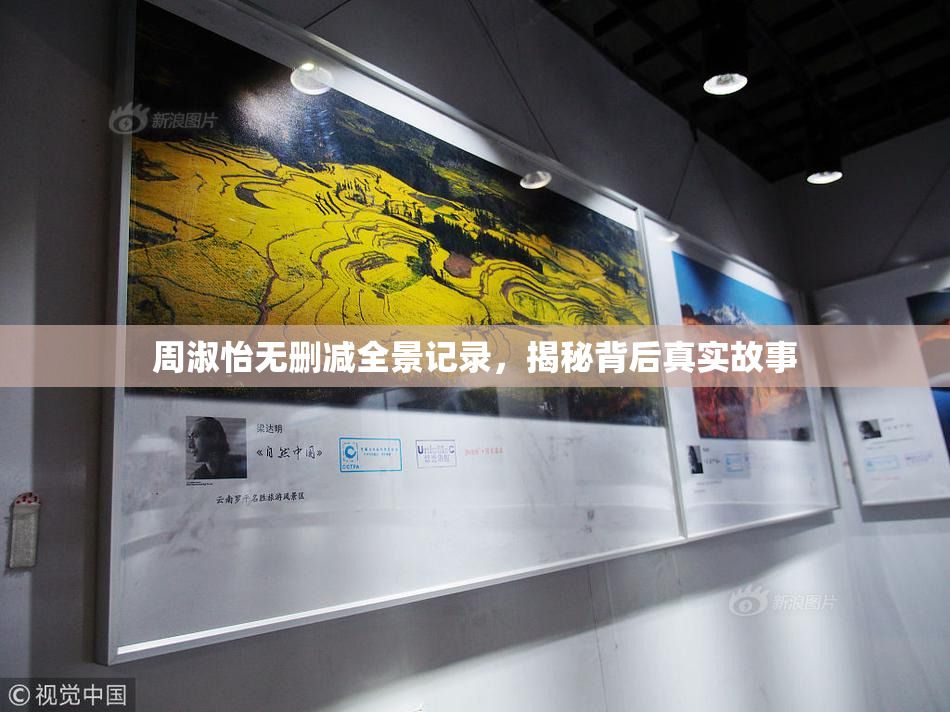 周淑怡无删减全景记录，揭秘背后真实故事