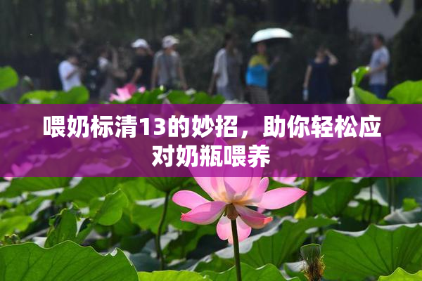 喂奶标清13的妙招，助你轻松应对奶瓶喂养