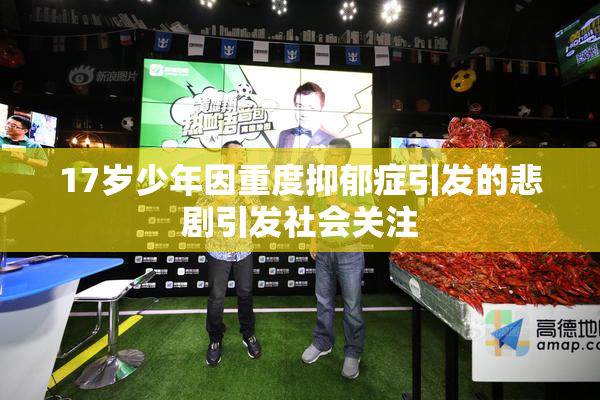 17岁少年因重度抑郁症引发的悲剧引发社会关注