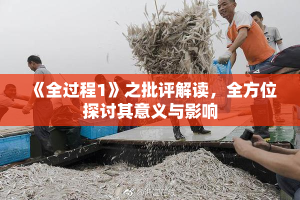 《全过程1》之批评解读，全方位探讨其意义与影响