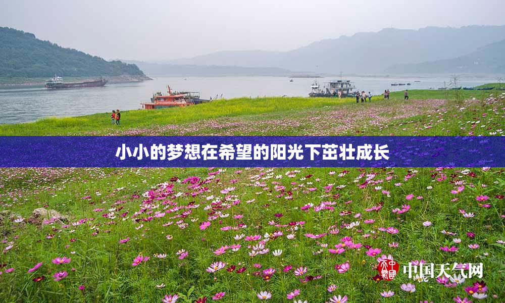 小小的梦想在希望的阳光下茁壮成长