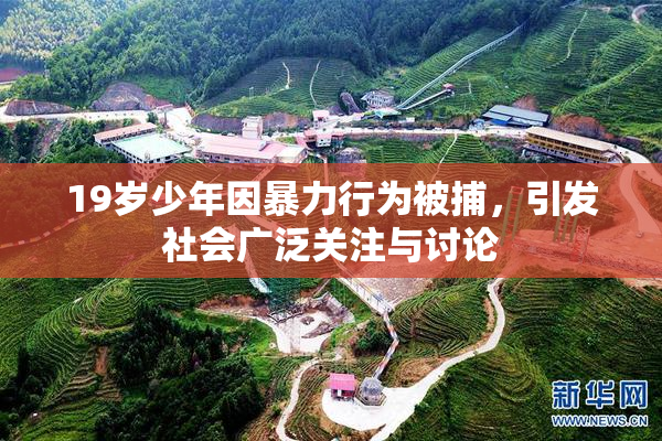 19岁少年因暴力行为被捕，引发社会广泛关注与讨论