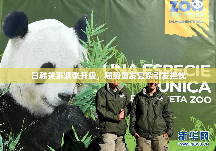 日韩关系紧张升级，局势愈发复杂引发担忧