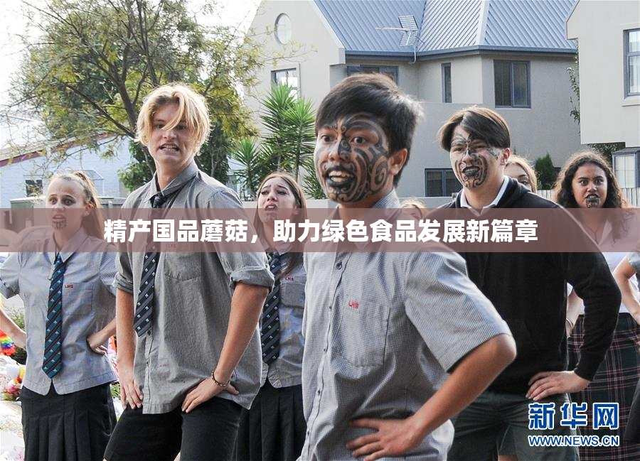 精产国品蘑菇，助力绿色食品发展新篇章