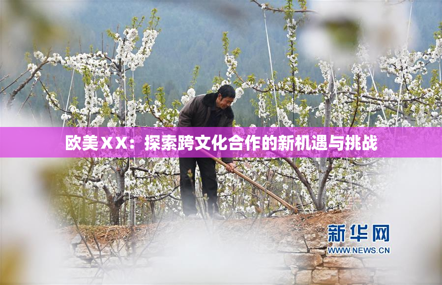 欧美ⅩX：探索跨文化合作的新机遇与挑战