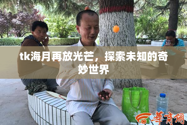 tk海月再放光芒，探索未知的奇妙世界