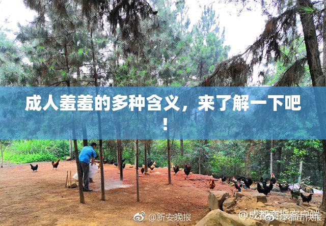 成人羞羞的多种含义，来了解一下吧！