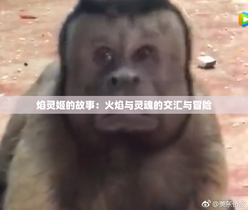 焰灵姬的故事：火焰与灵魂的交汇与冒险