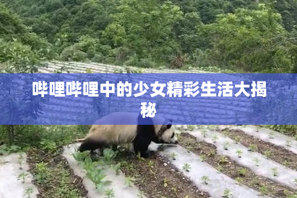 哔哩哔哩中的少女精彩生活大揭秘