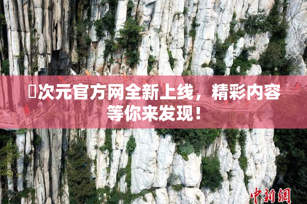 囧次元官方网全新上线，精彩内容等你来发现！